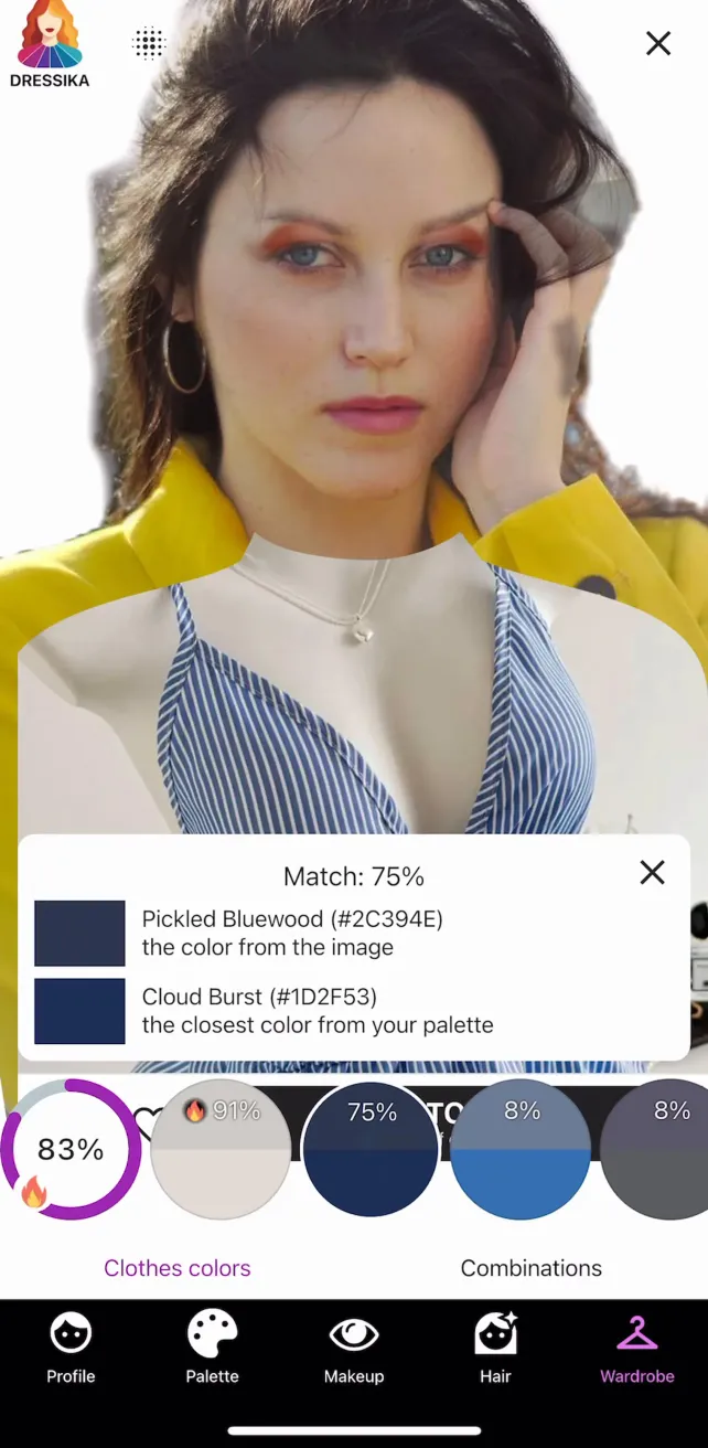 Color Analysis - Dressika Shopping with Color Consultant, screen 1