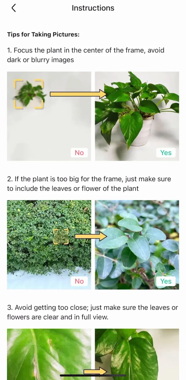 PictureThis - Plant Identifier Featured screens, screen 6